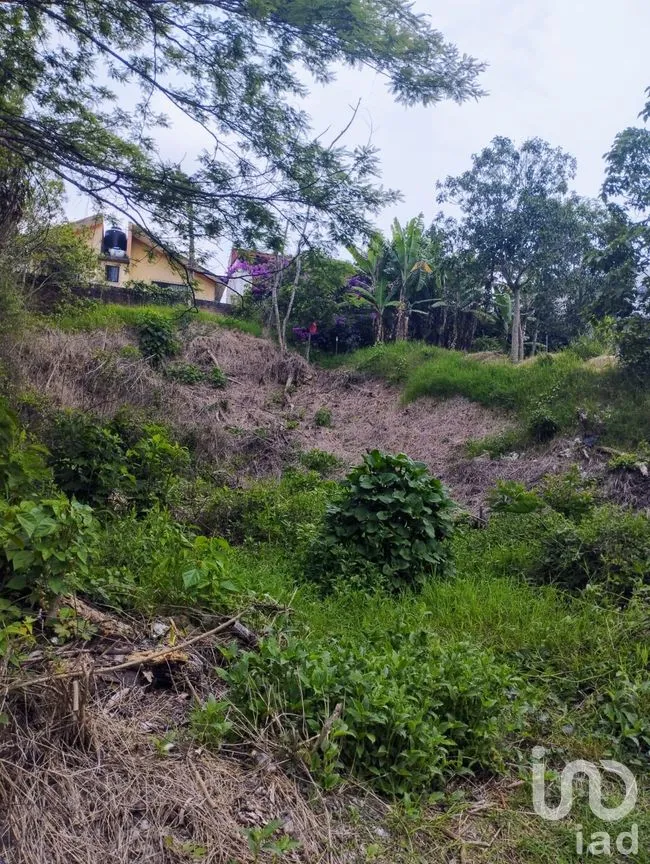 Terreno en Venta en Lomas del Tejar, Xalapa, Veracruz de Ignacio de la Llave | NEX-250771 | iad México | Foto 1 de 8