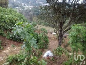 NEX-255935 - Terreno en Venta en Otilpan, CP 91230, Veracruz de Ignacio de la Llave.