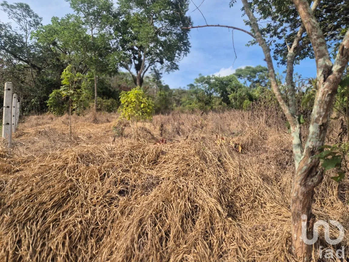 Terreno en Venta en La Estanzuela, Emiliano Zapata, Veracruz de Ignacio de la Llave | NEX-256120 | iad México | Foto 2 de 13