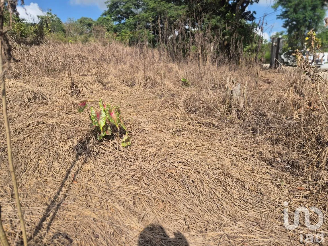 Terreno en Venta en La Estanzuela, Emiliano Zapata, Veracruz de Ignacio de la Llave | NEX-256120 | iad México | Foto 3 de 13