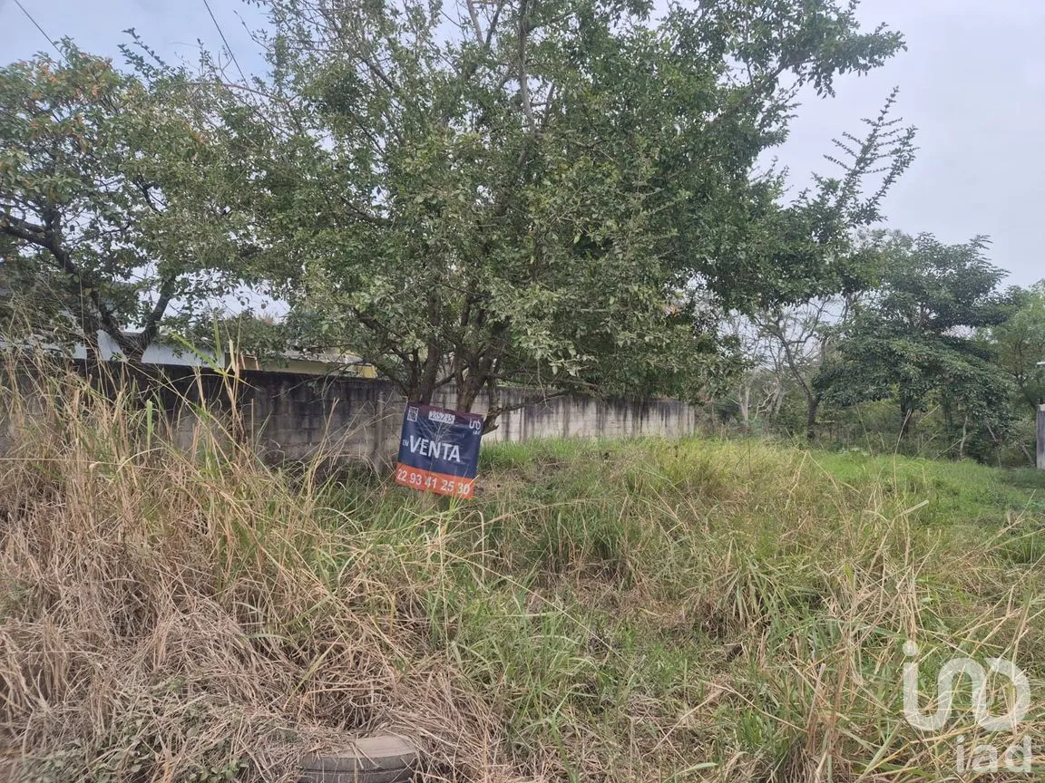 Terreno en Venta en Mata Cocuite, Veracruz, Veracruz de Ignacio de la Llave | NEX-285275 | iad México | Foto 10 de 13