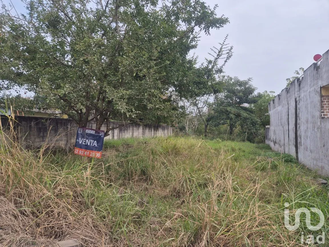 Terreno en Venta en Mata Cocuite, Veracruz, Veracruz de Ignacio de la Llave | NEX-285275 | iad México | Foto 8 de 13