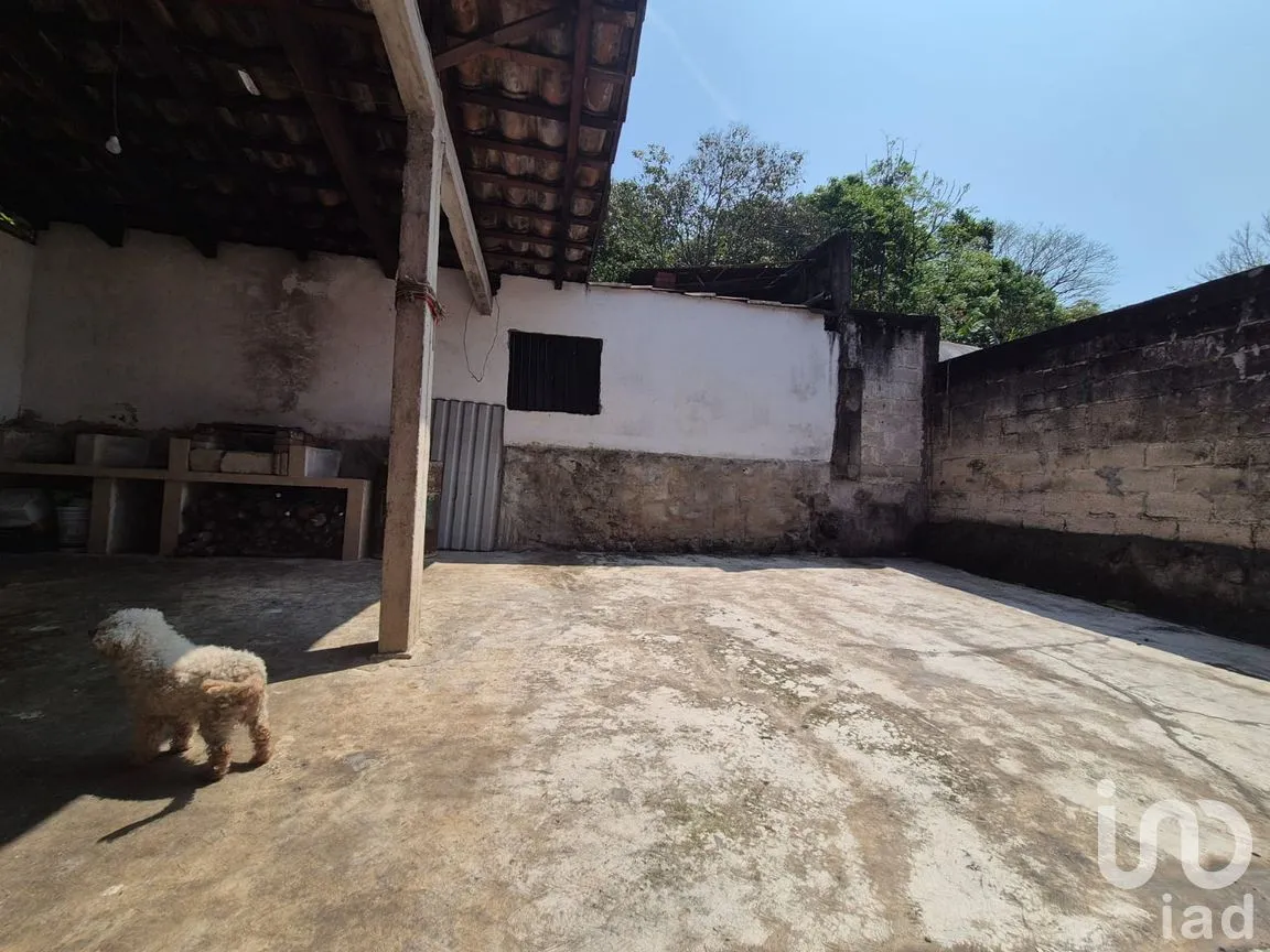 Casa en Venta en Zimpizahua, Coatepec, Veracruz de Ignacio de la Llave | NEX-294454 | iad México | Foto 12 de 19