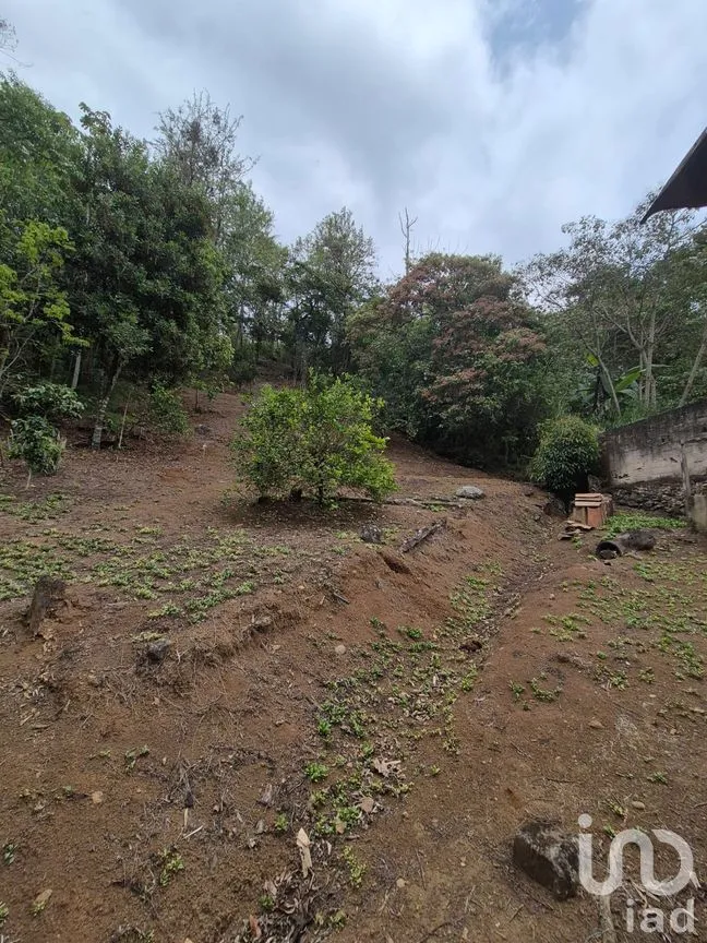 Casa en Venta en Zimpizahua, Coatepec, Veracruz de Ignacio de la Llave | NEX-294454 | iad México | Foto 16 de 19