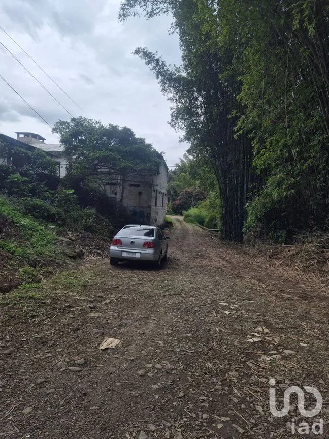 Casa en Venta en Zimpizahua, Coatepec, Veracruz de Ignacio de la Llave | NEX-294454 | iad México | Foto 17 de 19