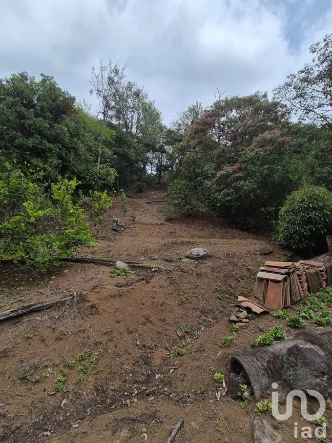 Casa en Venta en Zimpizahua, Coatepec, Veracruz de Ignacio de la Llave | NEX-294454 | iad México | Foto 18 de 19