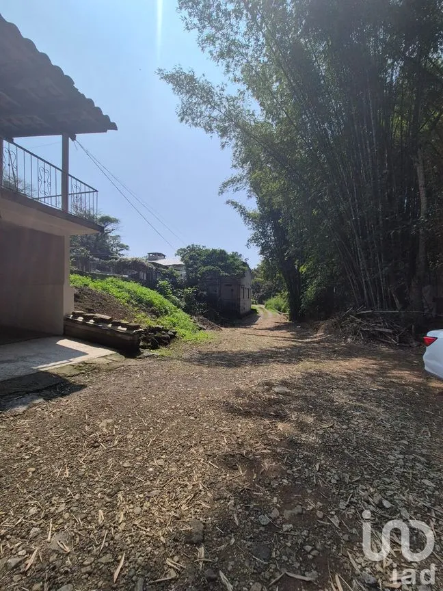 Casa en Venta en Zimpizahua, Coatepec, Veracruz de Ignacio de la Llave | NEX-294454 | iad México | Foto 19 de 19