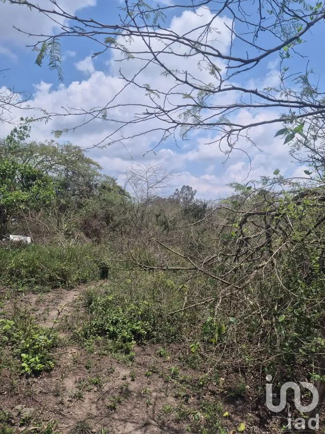 Terreno en Venta en Plan Chico, Emiliano Zapata, Veracruz de Ignacio de la Llave | NEX-296573 | iad México | Foto 4 de 8