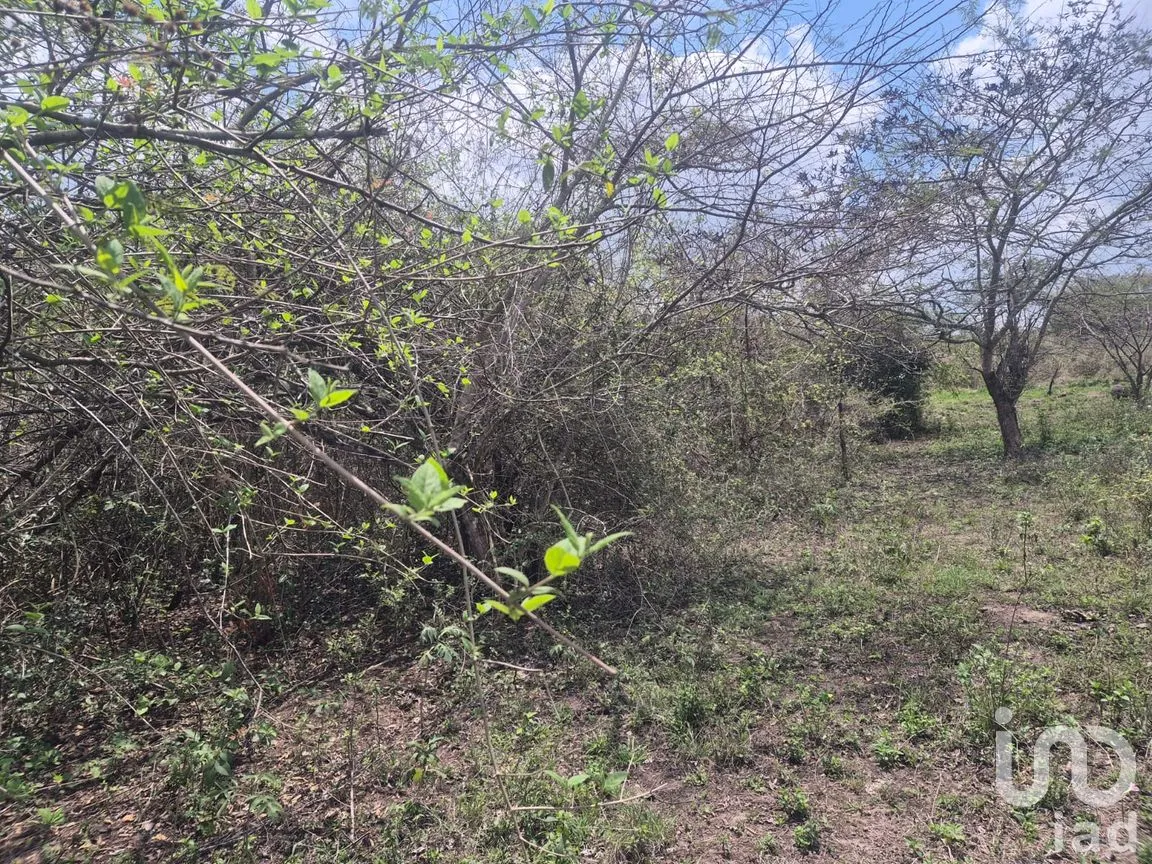 Terreno en Venta en Plan Chico, Emiliano Zapata, Veracruz de Ignacio de la Llave | NEX-296573 | iad México | Foto 5 de 8