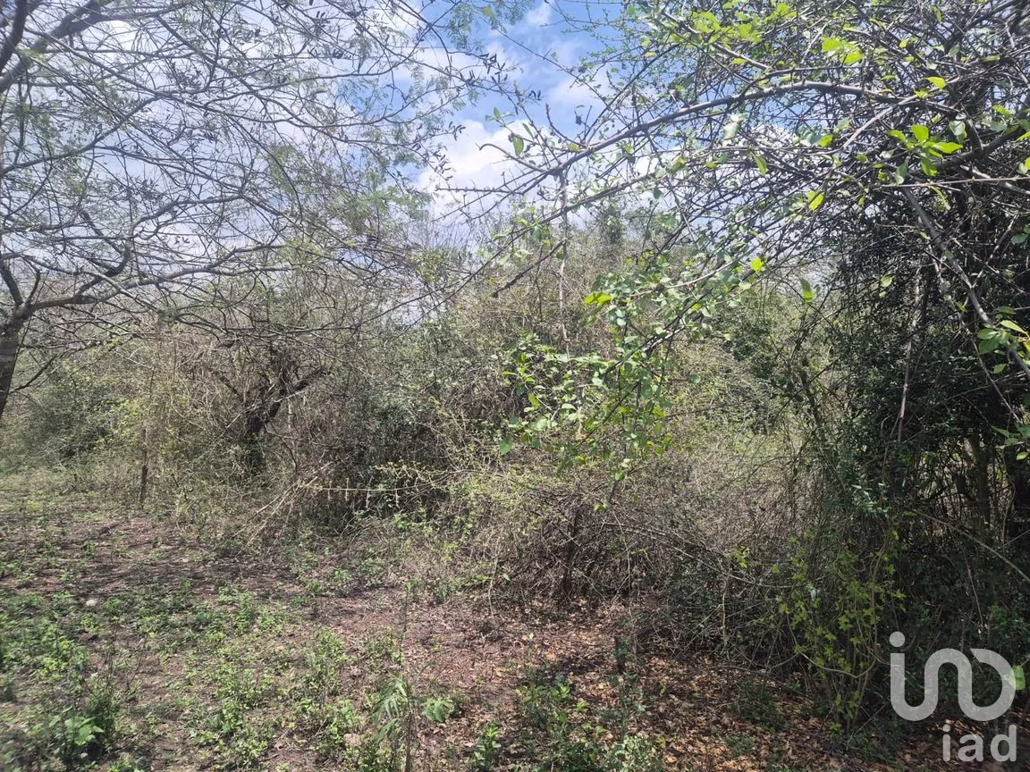 Terreno en Venta en Plan Chico, Emiliano Zapata, Veracruz de Ignacio de la Llave | NEX-296573 | iad México | Foto 6 de 8