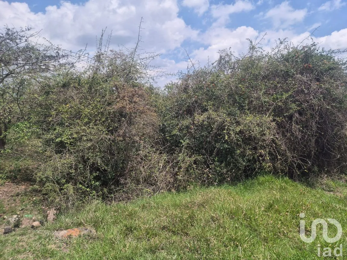 Terreno en Venta en Plan Chico, Emiliano Zapata, Veracruz de Ignacio de la Llave | NEX-296573 | iad México | Foto 8 de 8