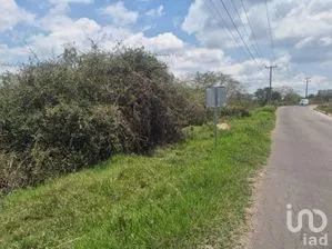 NEX-296573 - Terreno en Venta en Plan Chico, CP 91637, Veracruz de Ignacio de la Llave.