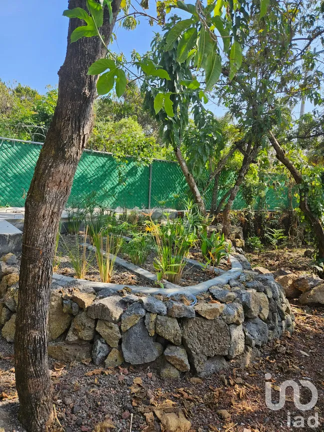 Casa en Venta en Xolatlaco, Tepoztlán, Morelos | NEX-241756 | iad México | Foto 10 de 12