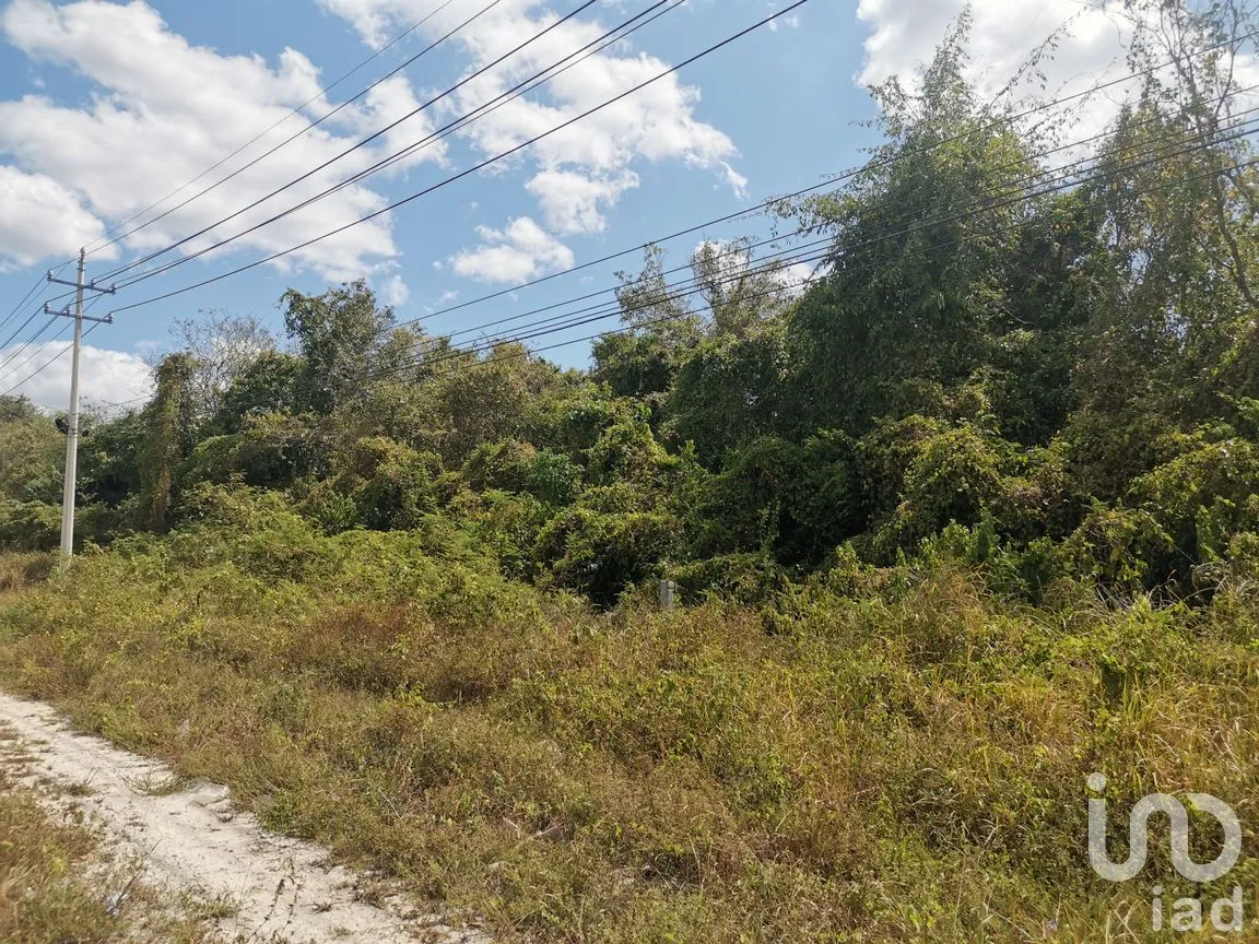Terreno en Venta en Supermanzana 34, Benito Juárez, Quintana Roo | NEX-250063 | iad México | Foto 3 de 12