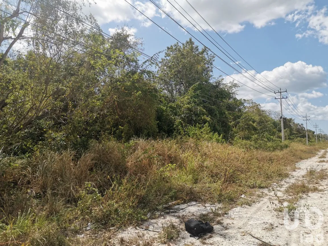 Terreno en Venta en Supermanzana 34, Benito Juárez, Quintana Roo | NEX-250063 | iad México | Foto 4 de 12