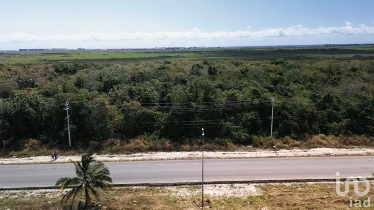 Terreno en Venta en Supermanzana 34, Benito Juárez, Quintana Roo | NEX-250063 | iad México | Foto 5 de 12
