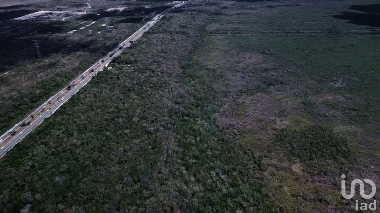 Terreno en Venta en Supermanzana 34, Benito Juárez, Quintana Roo | NEX-250063 | iad México | Foto 7 de 12