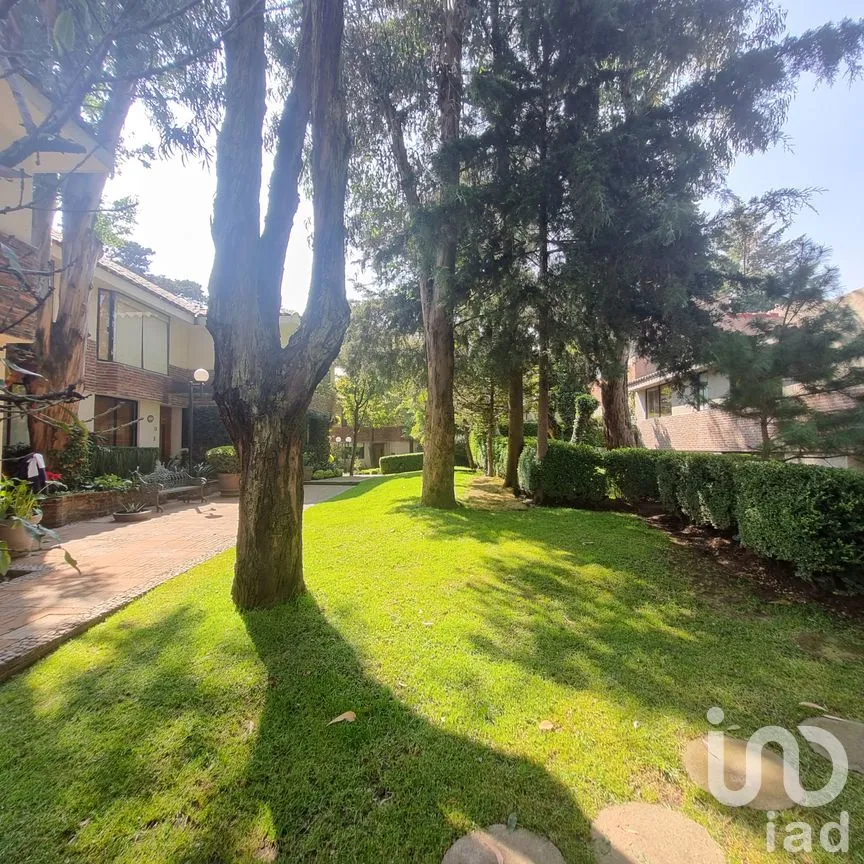 Casa en Venta en El Molino, Cuajimalpa de Morelos, Ciudad de México | NEX-264186 | iad México | Foto 4 de 29