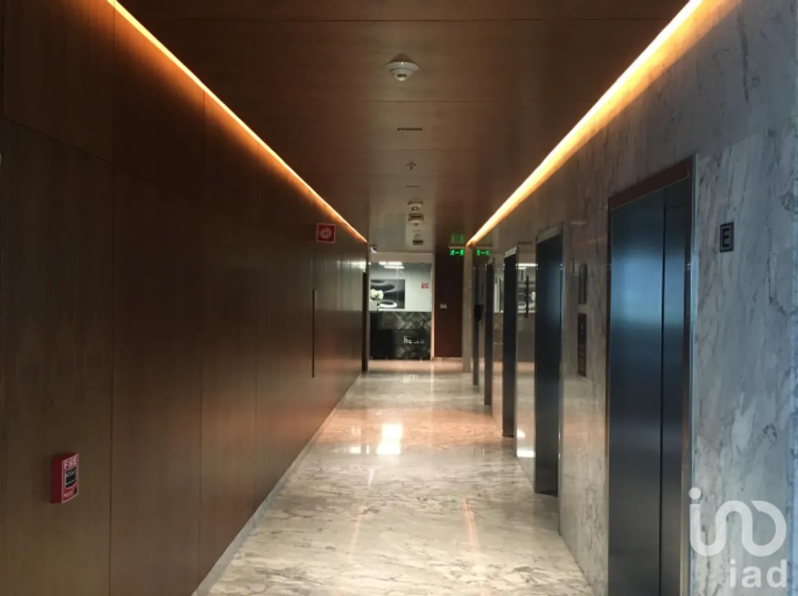 Oficina en Renta en Anáhuac I Sección, Miguel Hidalgo, Ciudad de México | NEX-247590 | iad México | Foto 3 de 11