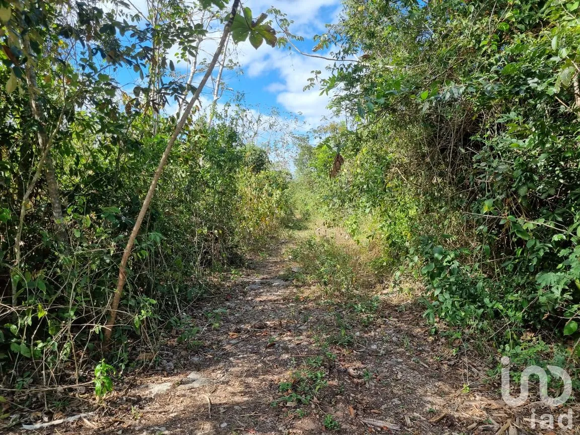 Terreno en Venta en Ejidal, Solidaridad, Quintana Roo | NEX-253650 | iad México | Foto 2 de 3