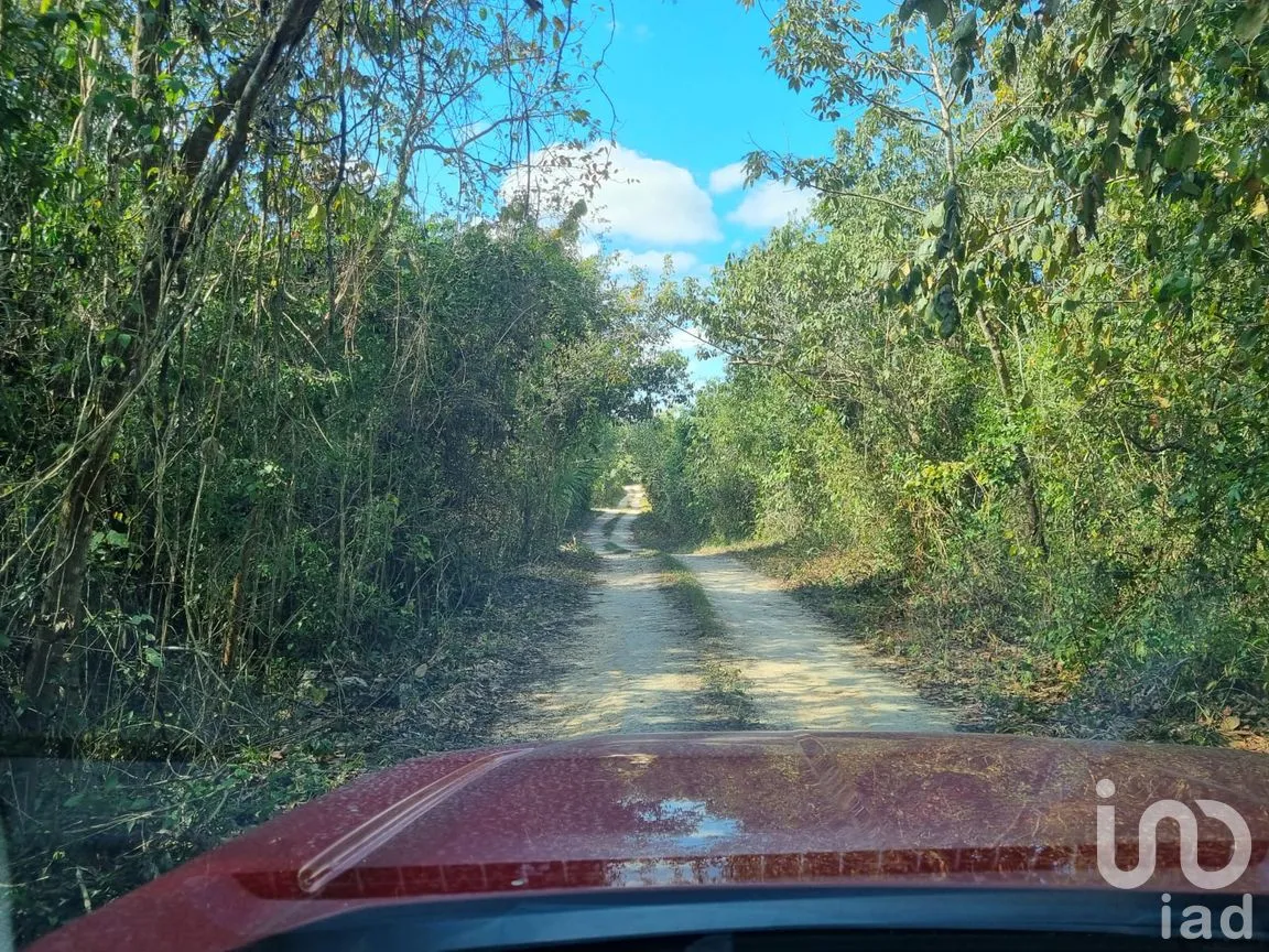 Terreno en Venta en Ejidal, Solidaridad, Quintana Roo | NEX-253650 | iad México | Foto 3 de 3