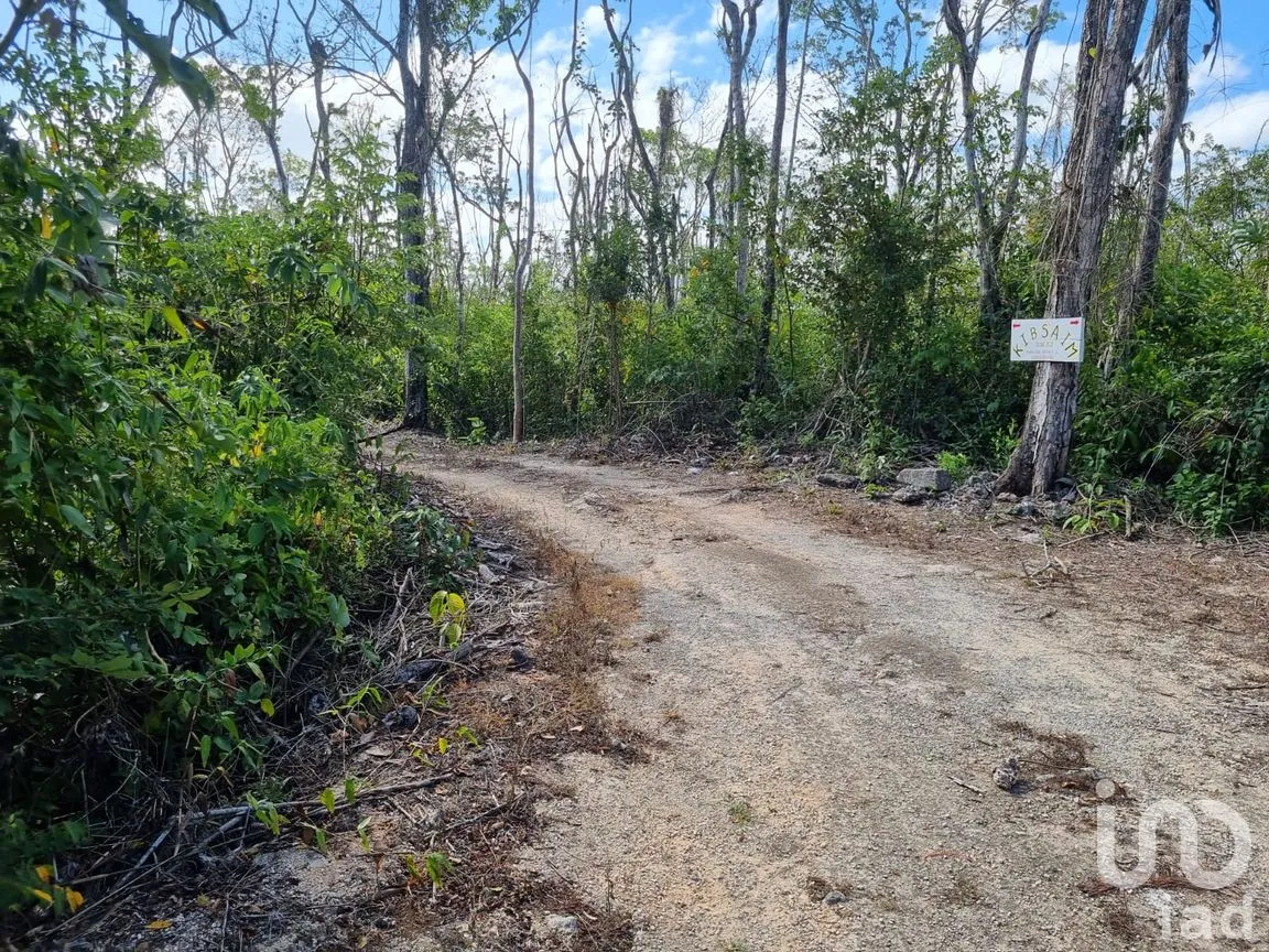 Terreno en Venta en Ejidal, Solidaridad, Quintana Roo | NEX-253650 | iad México | Foto 1 de 3