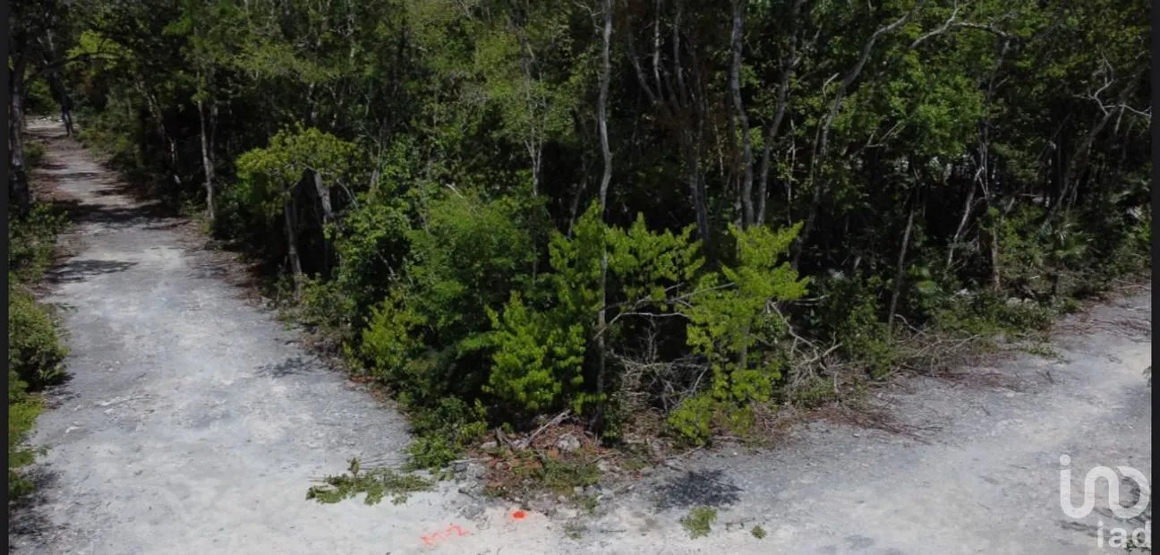 Terreno en Venta en Tulum Centro, Tulum, Quintana Roo | NEX-256057 | iad México | Foto 2 de 5