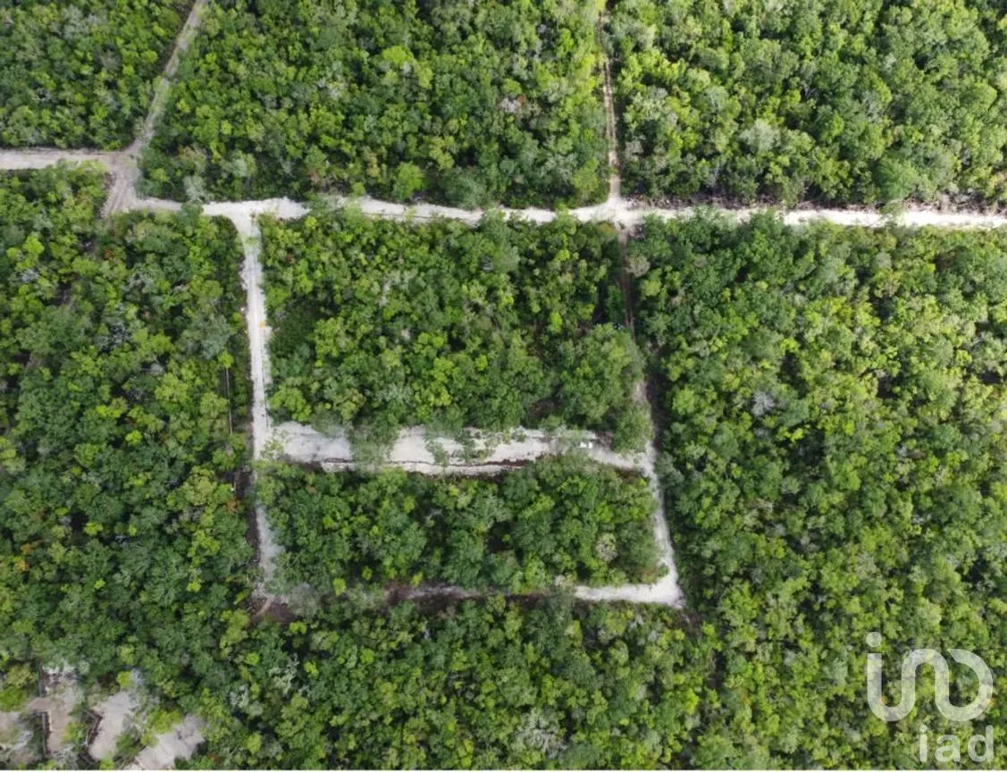 Terreno en Venta en Tulum Centro, Tulum, Quintana Roo | NEX-256057 | iad México | Foto 1 de 5