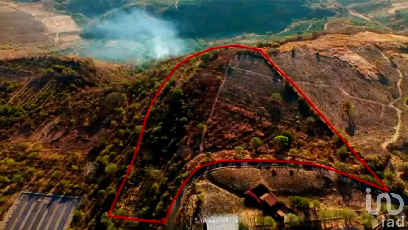 Terreno en Venta en San Martin de las Cañas, Tequila, Jalisco | NEX-263819 | iad México | Foto 2 de 18