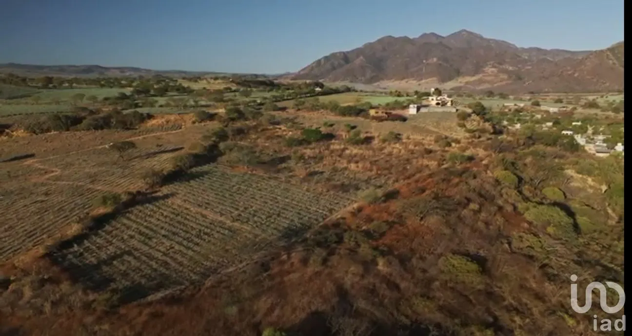 Terreno en Venta en San Martin de las Cañas, Tequila, Jalisco | NEX-263819 | iad México | Foto 11 de 18