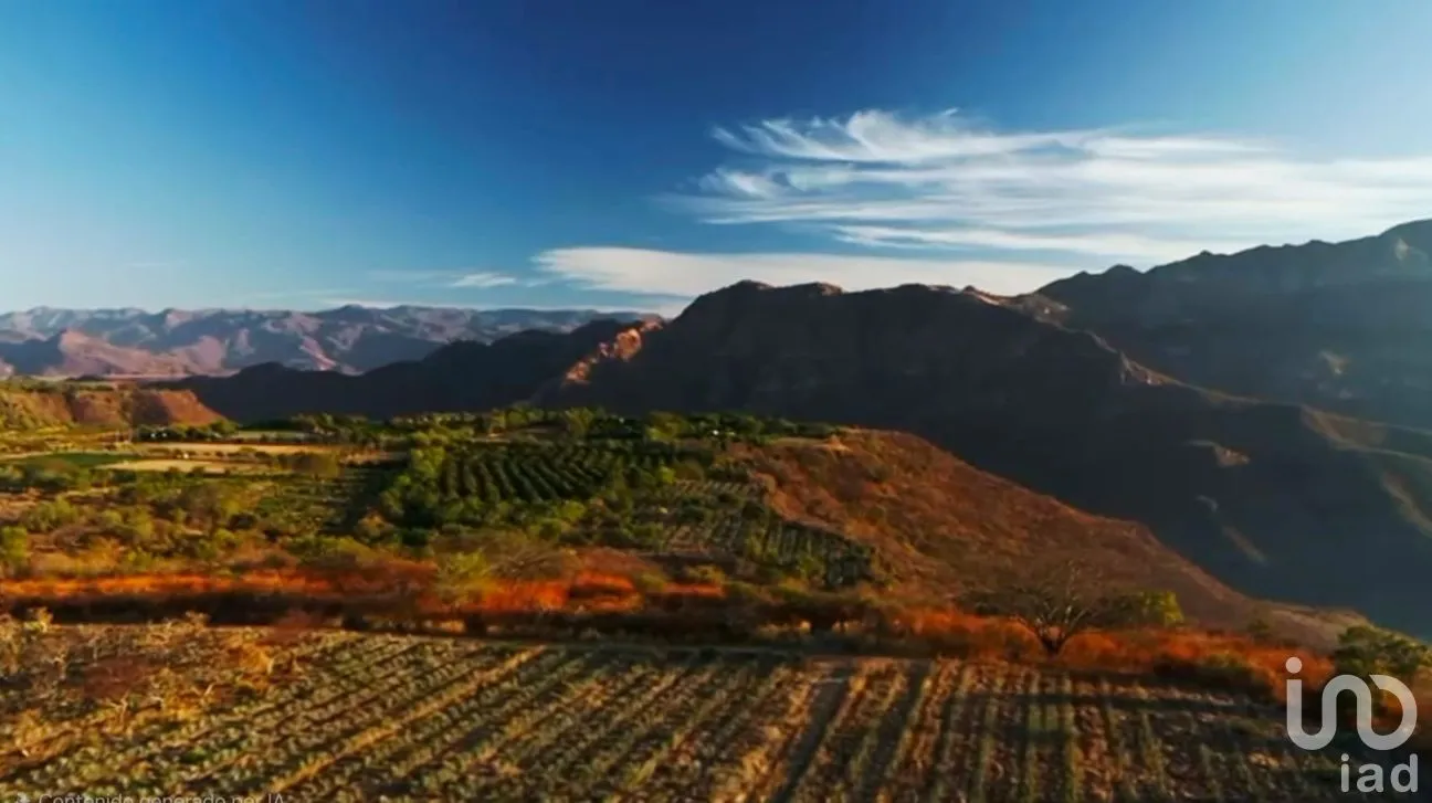 Terreno en Venta en San Martin de las Cañas, Tequila, Jalisco | NEX-263819 | iad México | Foto 13 de 18