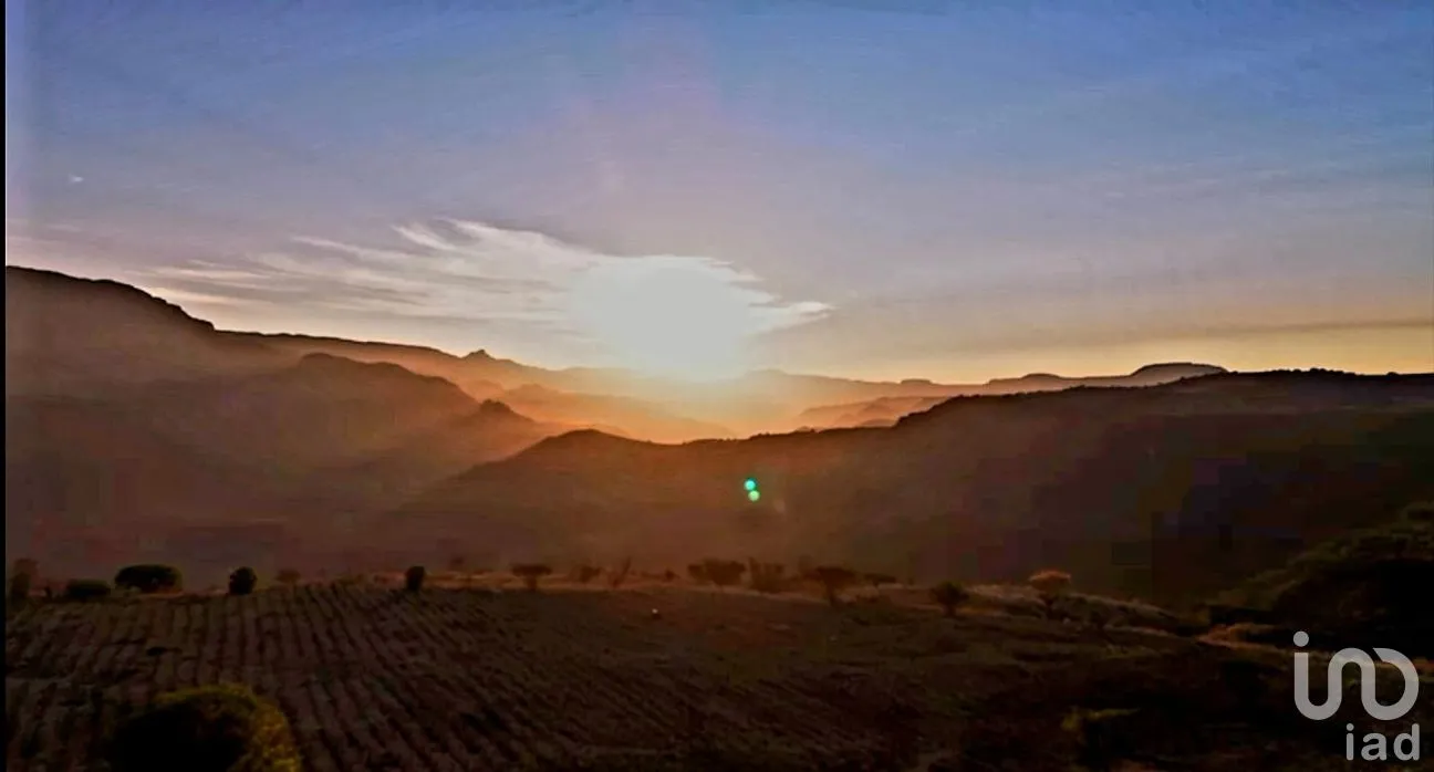 Terreno en Venta en San Martin de las Cañas, Tequila, Jalisco | NEX-263819 | iad México | Foto 14 de 18