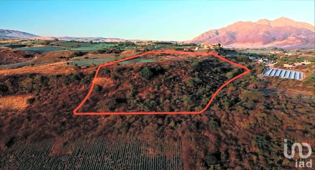 Terreno en Venta en San Martin de las Cañas, Tequila, Jalisco | NEX-263819 | iad México | Foto 16 de 18