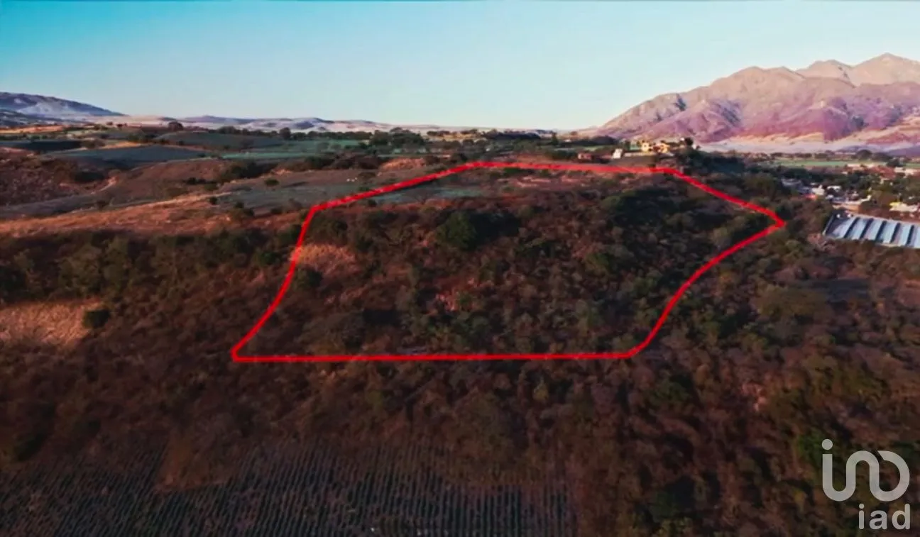 Terreno en Venta en San Martin de las Cañas, Tequila, Jalisco | NEX-263819 | iad México | Foto 17 de 18
