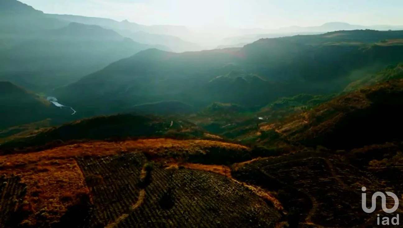 Terreno en Venta en San Martin de las Cañas, Tequila, Jalisco | NEX-263819 | iad México | Foto 5 de 18