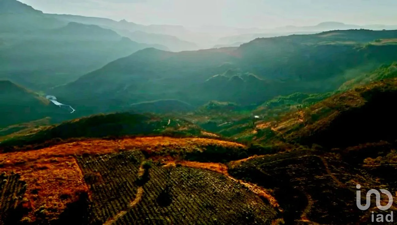 Terreno en Venta en San Martin de las Cañas, Tequila, Jalisco | NEX-263819 | iad México | Foto 8 de 18