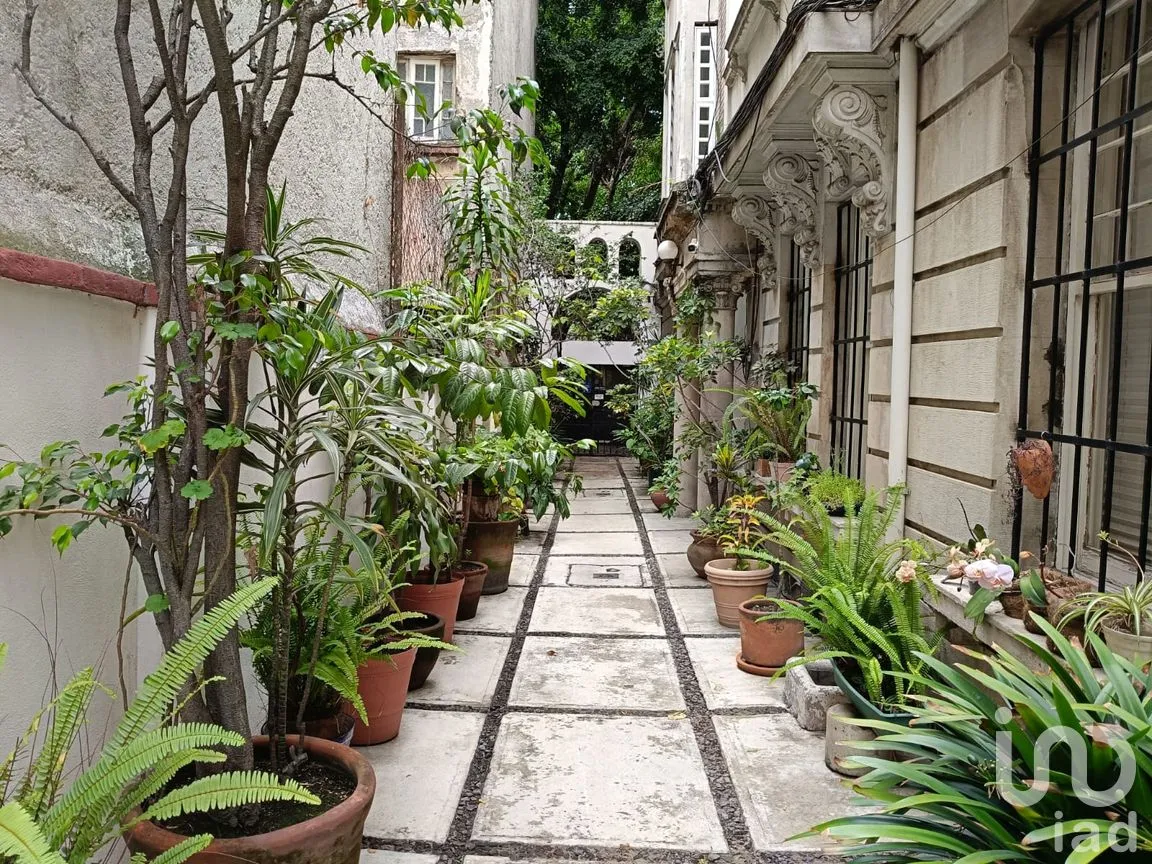 Departamento en Renta en Roma Norte, Cuauhtémoc, Ciudad de México | NEX-301580 | iad México | Foto 4 de 15