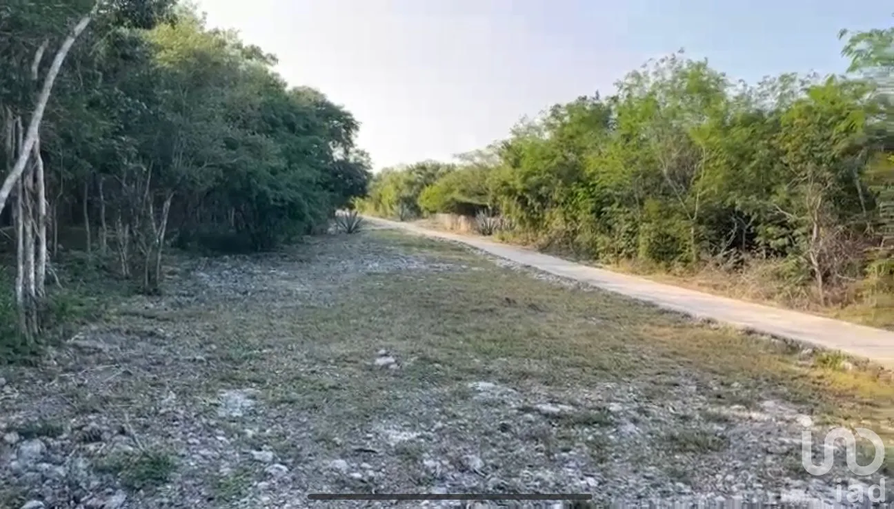 Terreno en Venta en Progreso Centro, Progreso, Yucatán | NEX-261731 | iad México | Foto 3 de 5