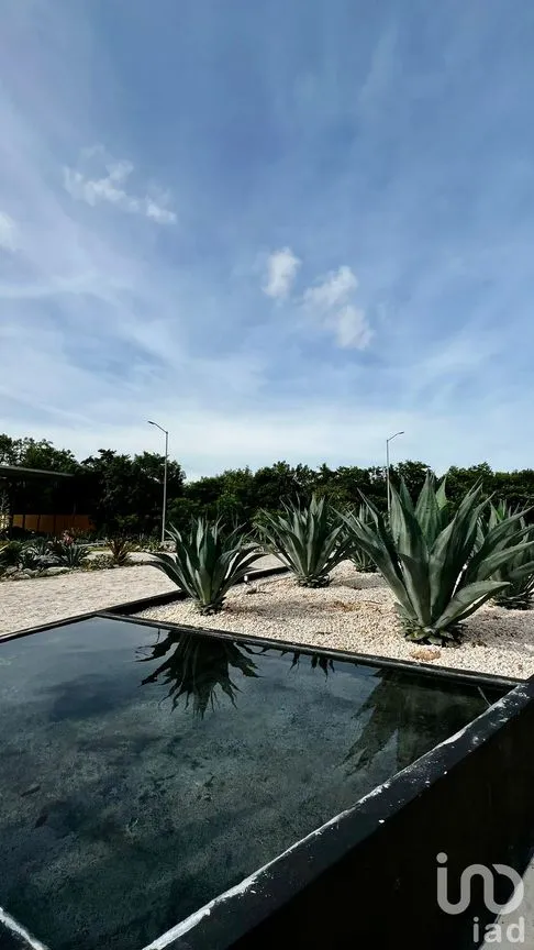 Departamento en Venta en Alfredo V. Bonfil, Benito Juárez, Quintana Roo | NEX-241282 | iad México | Foto 8 de 21