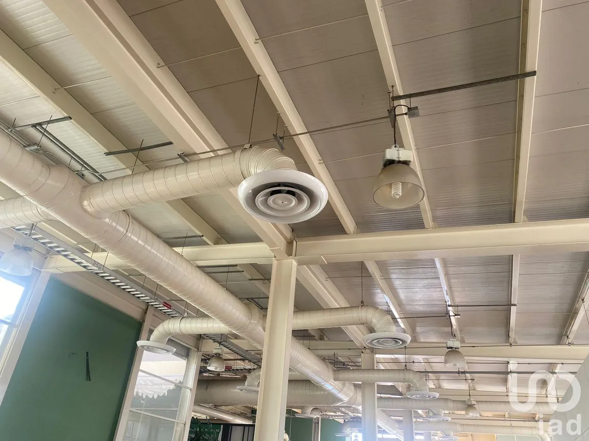 Local en Renta en Insurgentes Mixcoac, Benito Juárez, Ciudad de México | NEX-249262 | iad México | Foto 11 de 11