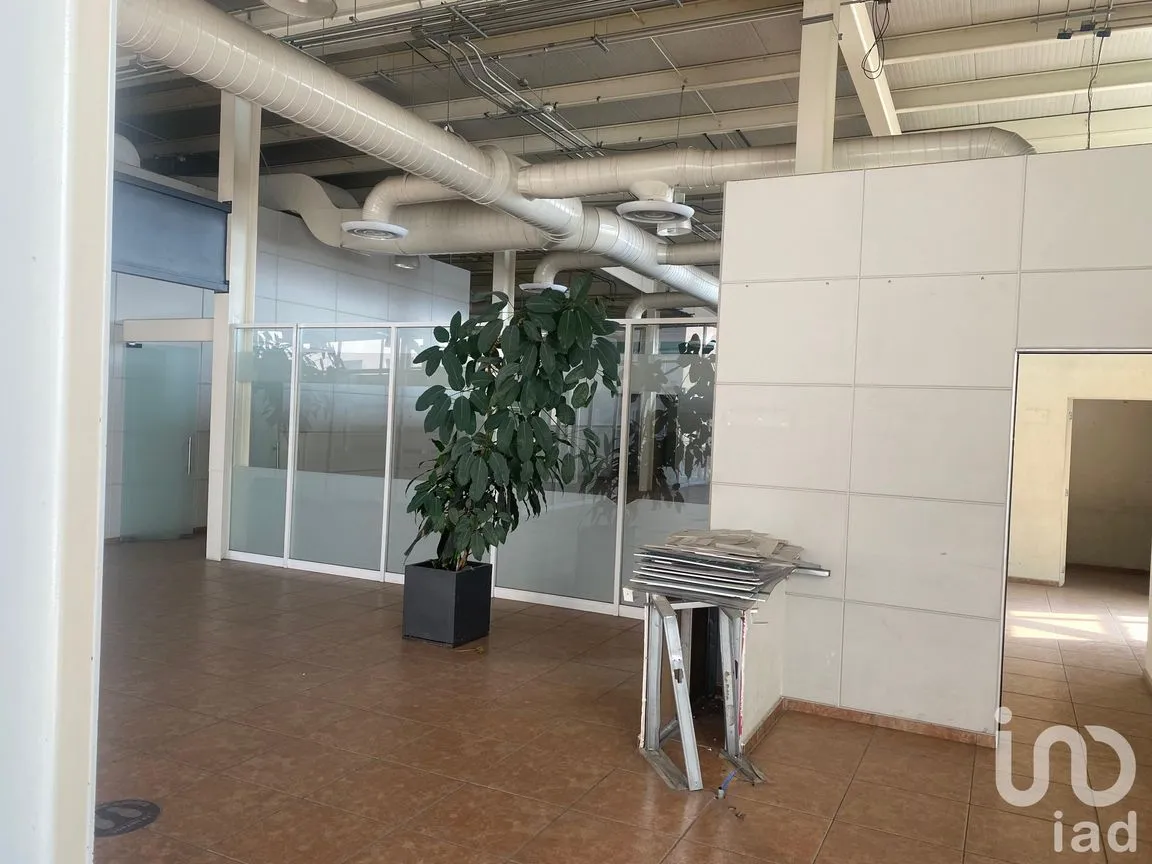 Oficina en Renta en Insurgentes Mixcoac, Benito Juárez, Ciudad de México | NEX-249268 | iad México | Foto 3 de 11