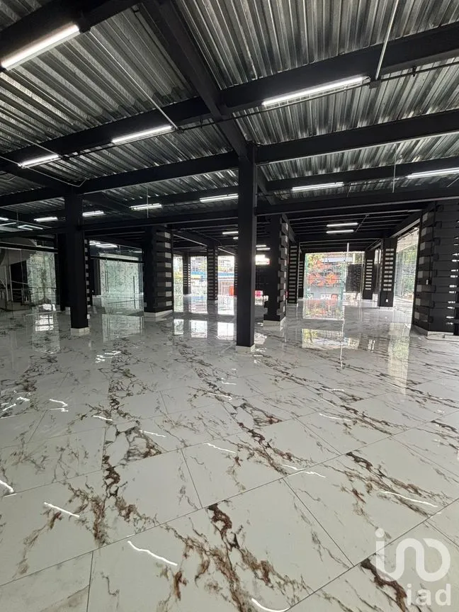 Oficina en Renta en Roma Norte, Cuauhtémoc, Ciudad de México | NEX-253807 | iad México | Foto 4 de 13