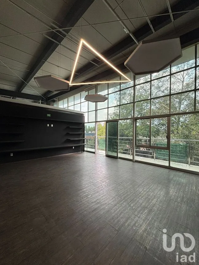 Oficina en Renta en Roma Norte, Cuauhtémoc, Ciudad de México | NEX-253814 | iad México | Foto 12 de 15