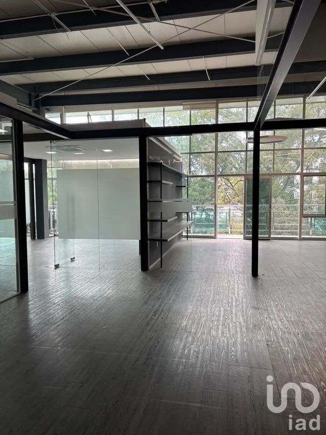 Oficina en Renta en Roma Norte, Cuauhtémoc, Ciudad de México | NEX-253814 | iad México | Foto 13 de 15