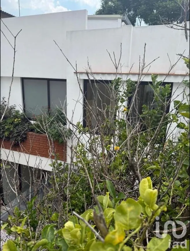 Casa en Venta en Santa Catarina, Coyoacán, Ciudad de México | NEX-256472 | iad México | Foto 12 de 50