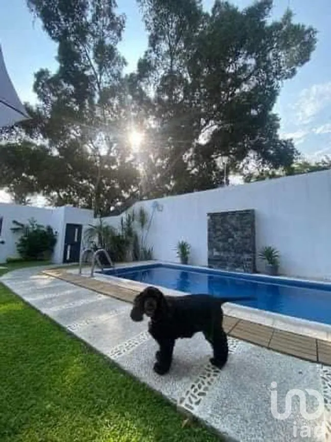 Casa en Renta en Federación, Cuernavaca, Morelos | NEX-259910 | iad México | Foto 2 de 22