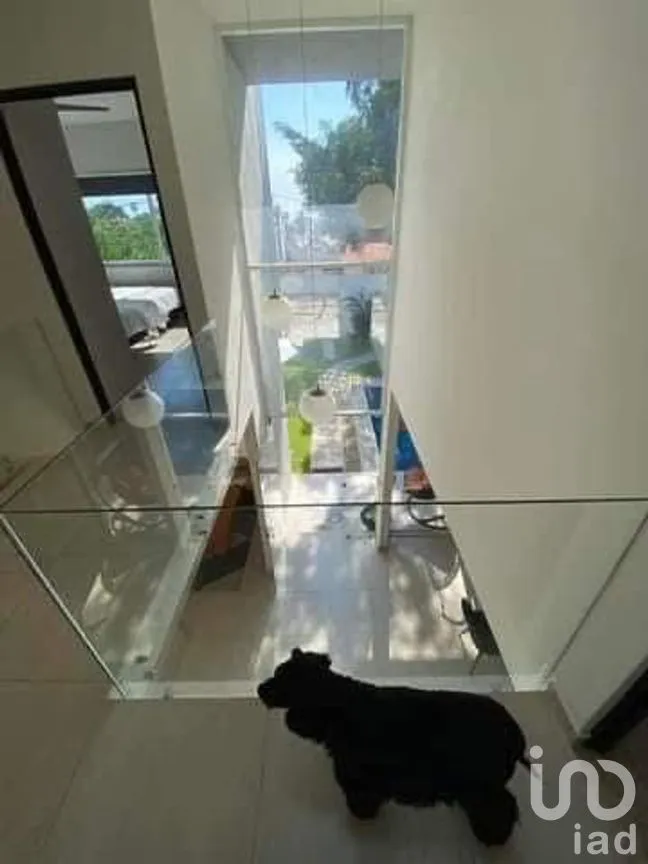 Casa en Renta en Federación, Cuernavaca, Morelos | NEX-259910 | iad México | Foto 16 de 22