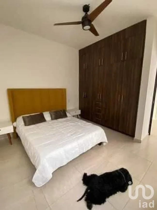 Casa en Renta en Federación, Cuernavaca, Morelos | NEX-259910 | iad México | Foto 10 de 22