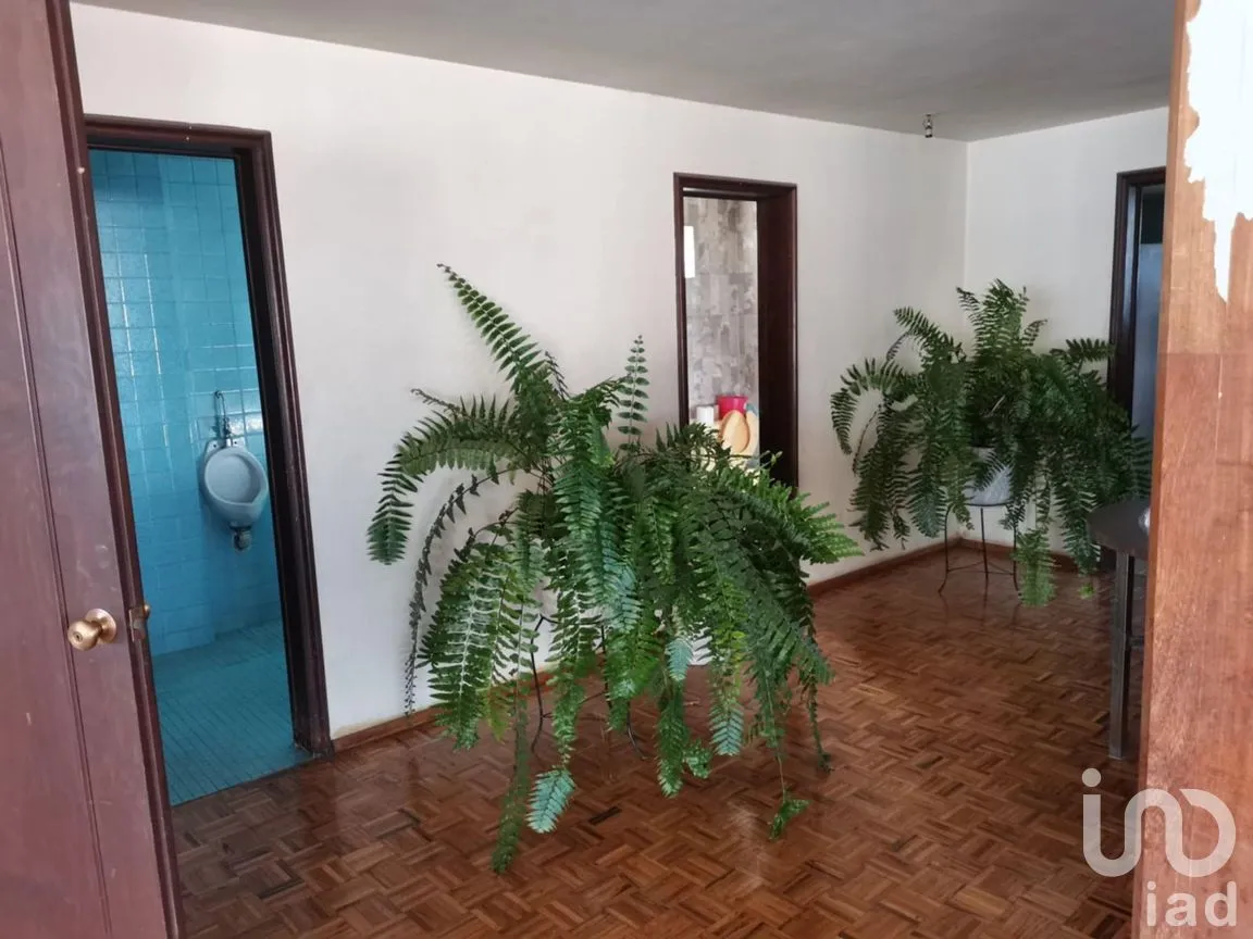 Edificio en Venta en Celaya Centro, Celaya, Guanajuato | NEX-285817 | iad México | Foto 11 de 12