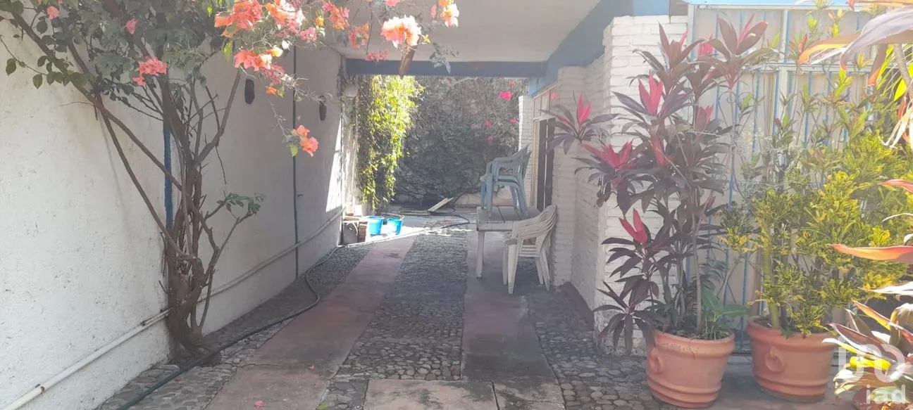 Casa en Venta en Las Rosas, Xochitepec, Morelos | NEX-263386 | iad México | Foto 4 de 11